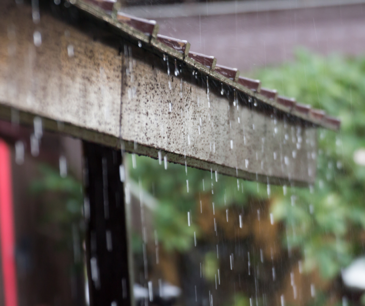 Ready for Rainy Season: F&W Sump Pumps image