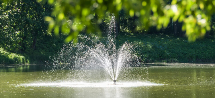 A Guide to Pond & Fountain Pumps image