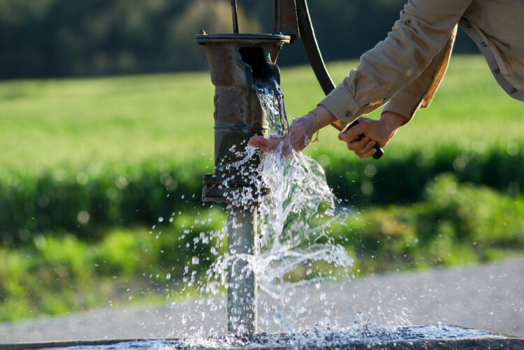 Fresh Water Pumps vs. Gray Water Pumps image