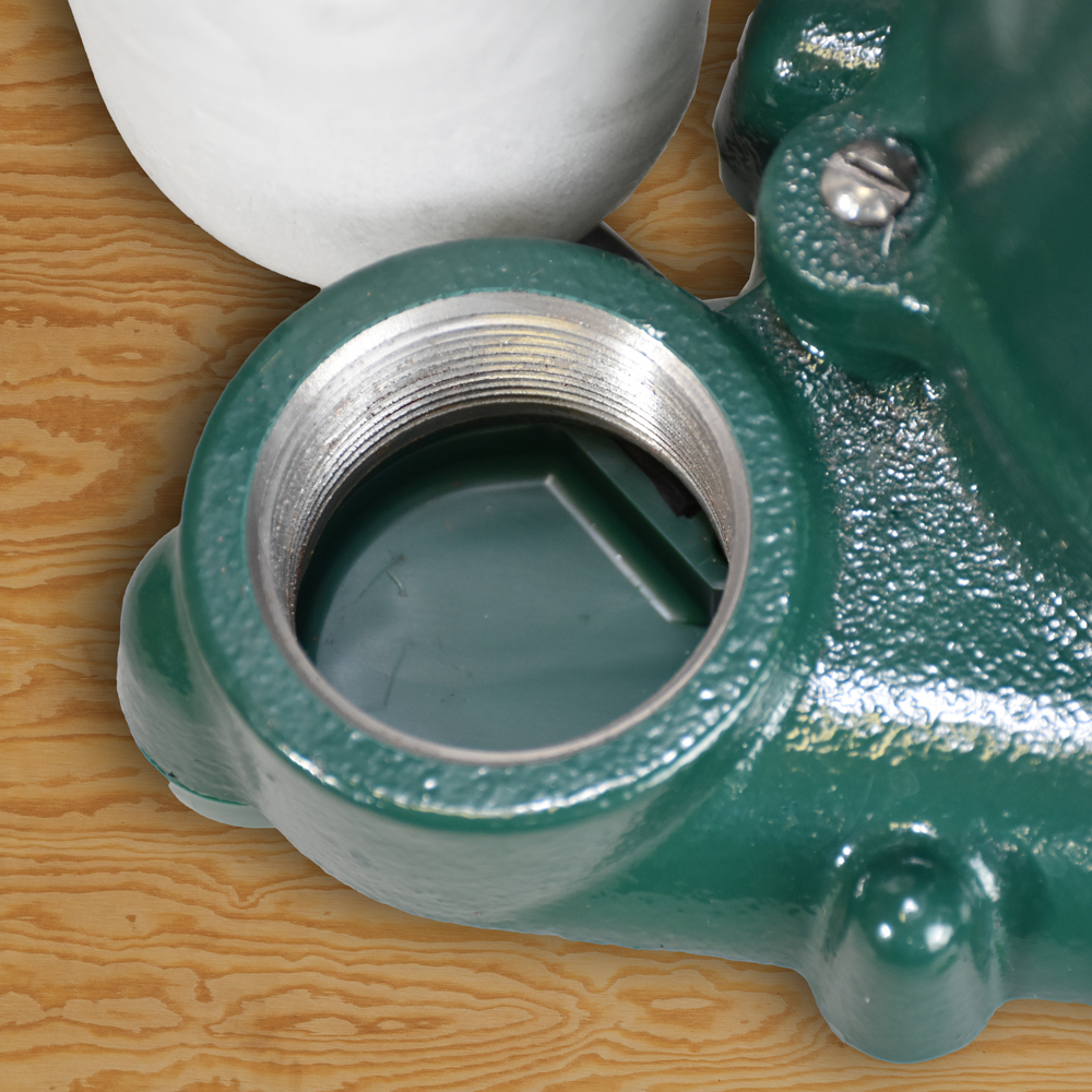 M53 Sump Pump with 25' Cord