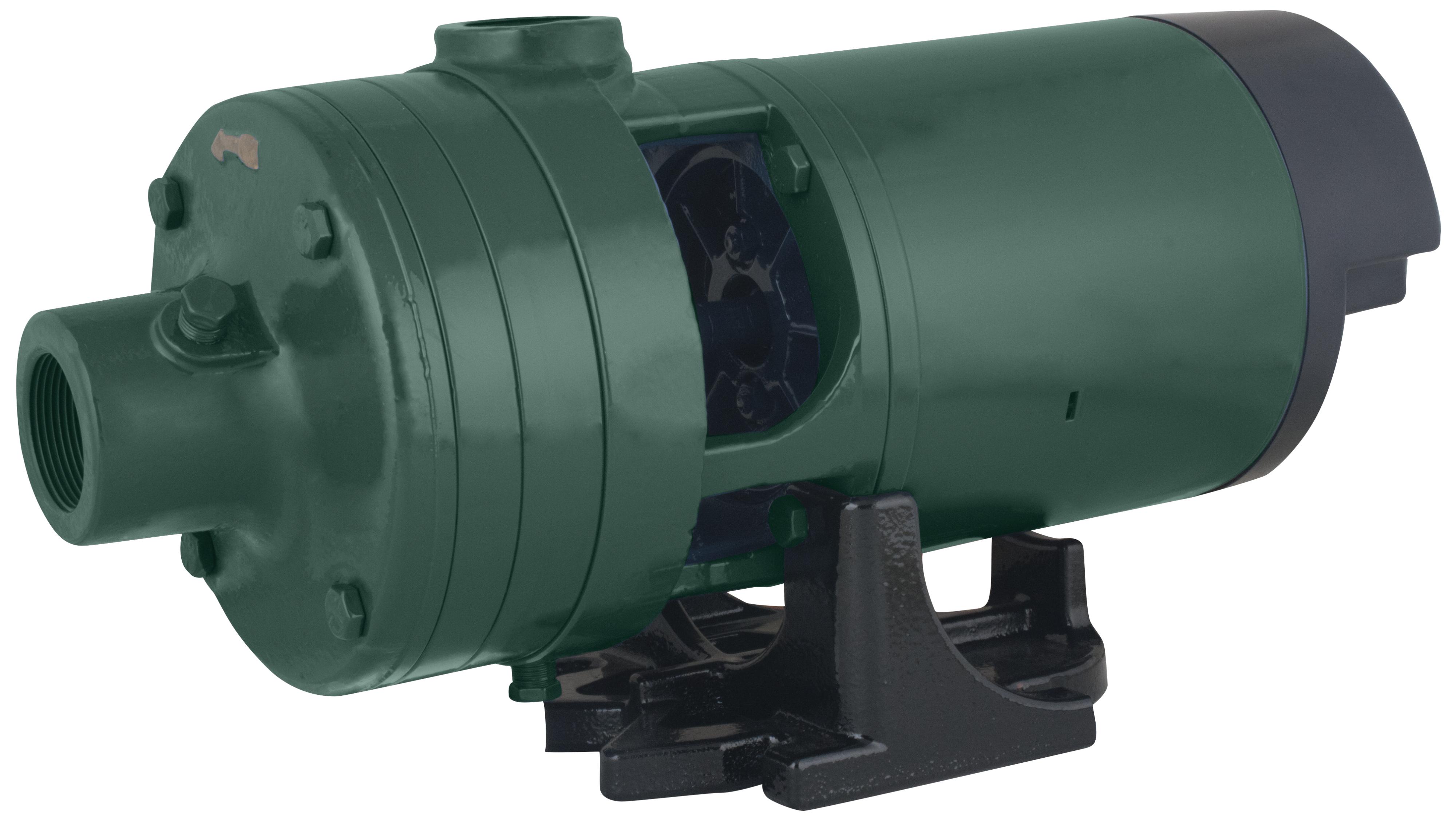 Model 306 Multi-Stage Centrifugal Pump