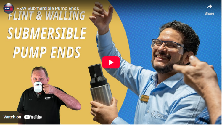 Inside the Submersible Pump End: What Makes Flint & Walling Different? image