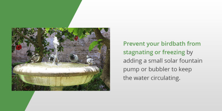 10 Creative Applications for Fountain Pumps in Home and Garden Designs image